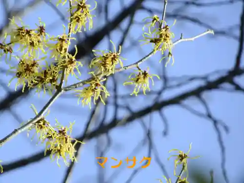 鏡石鹿嶋神社 ＊安産・開運・勝利の神さま＊(福島県)