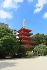 東長寺の塔