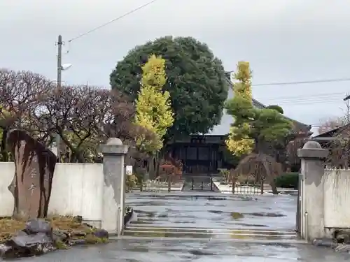 清泰寺の山門