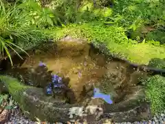 御岩神社の自然