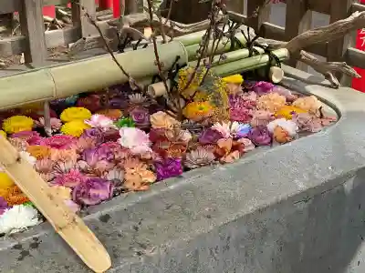 下谷神社の{uncategorized: "未分類", other: "その他", undefined: "問題あり", building: "その他建物", grave: "お墓", sacred_gate: "鳥居", guardian: "狛犬", statue: "像", buddha: "仏像", history: "歴史", nature: "自然", garden: "庭園", animal: "動物", pagoda: "塔", temizu: "手水舎", mountain_gate: "山門・神門", sanctuary: "本殿・本堂", subordinate: "末社・摂社", art: "芸術", scenery: "景色", jizo: "地蔵", ema: "絵馬", goshuin: "御朱印", omikuji: "おみくじ", items: "授与品その他", amulet: "お守り", goshuincho: "御朱印帳", eats: "食事", festival: "お祭り", votive_dance: "神楽", shichigosan: "七五三参", wedding: "結婚式", experience: "体験その他", initially: "初詣", around: "周辺", anti_infection: "感染症対策"}