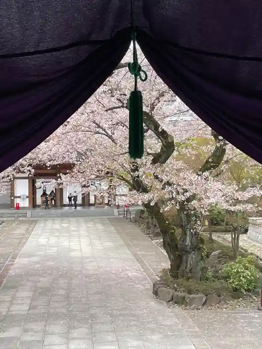 伝通院(東京都)