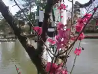 旗上弁財天社の自然