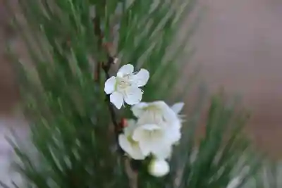 滑川神社 - 仕事と子どもの守り神の授与品その他