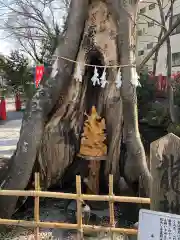 秩父今宮神社の自然