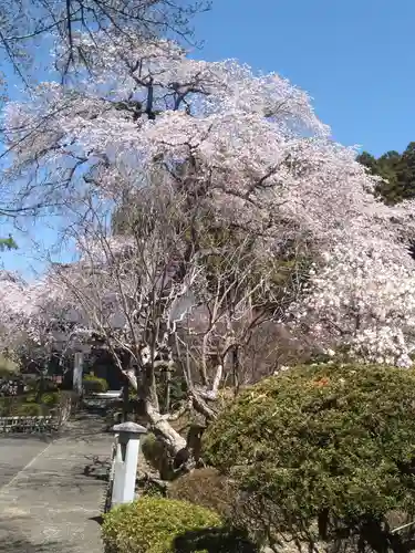 妙頓寺(宮城県)