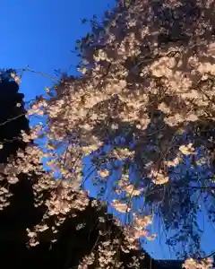 三澤寺の景色(2021年04月05日(月) 19時04分25秒投稿)