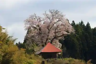 十一面観音堂の景色