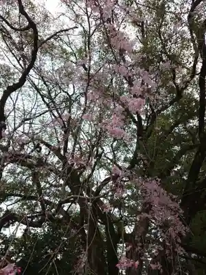 熊野本宮大社(和歌山県)