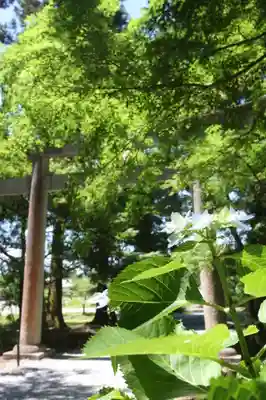 井伊神社(滋賀県)