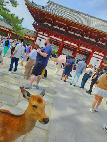 東大寺(奈良県)