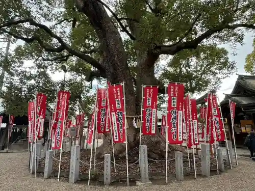 楠珺社（住吉大社末社）(大阪府)