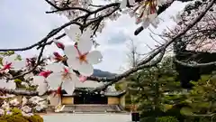 隨心院（随心院）の御朱印