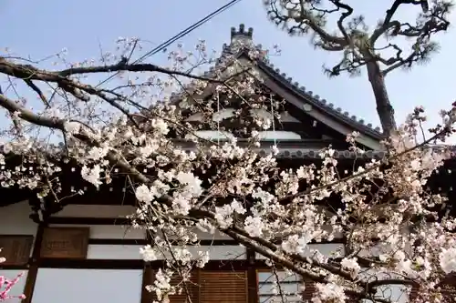 蓮臺山　捴見院　阿弥陀寺の本殿