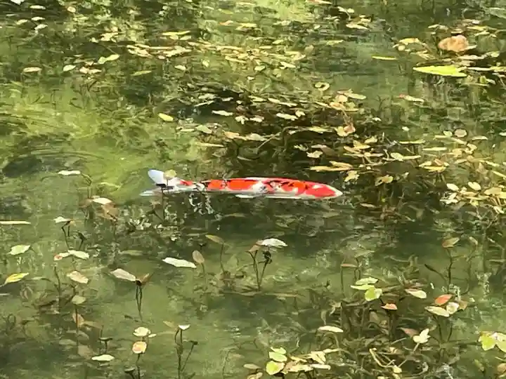 根道神社(岐阜県)