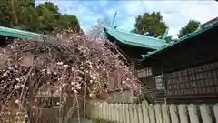 藤ノ木白山神社の本殿