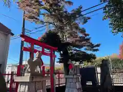 椿稲荷神社の鳥居