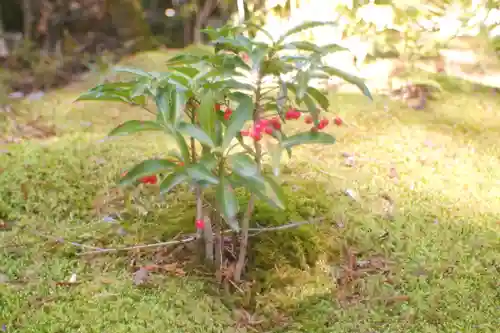赤山禅院(京都府)