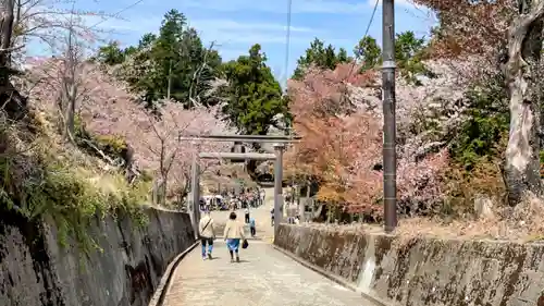 金峯神社（吉野町）の自然