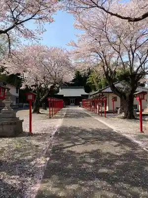 金井神社(栃木県)