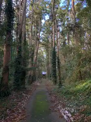 諏訪神社の自然