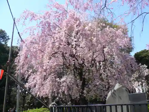 清水観音堂の庭園