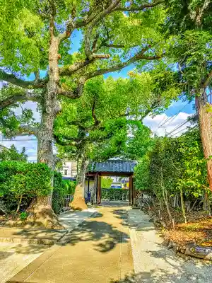 弁栄庵 法城寺の自然
