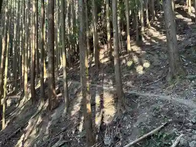 太龍寺(徳島県)