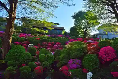 根津神社(東京都)