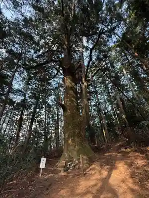 智満寺(静岡県)