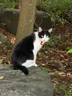 榛名神社(群馬県)