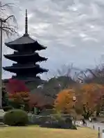 東寺(教王護国寺)(京都府)
