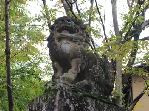 粟田神社の狛犬
