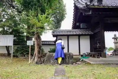 高蔵寺の手水舎