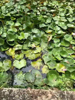 鶴林寺(兵庫県)