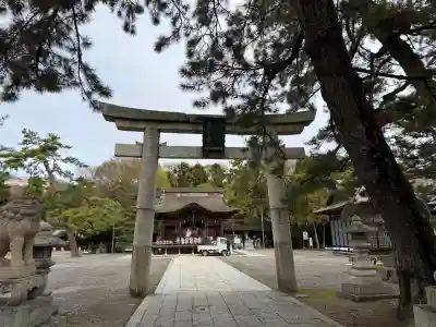 長浜八幡宮の{uncategorized: "未分類", other: "その他", undefined: "問題あり", building: "その他建物", grave: "お墓", sacred_gate: "鳥居", guardian: "狛犬", statue: "像", buddha: "仏像", history: "歴史", nature: "自然", garden: "庭園", animal: "動物", pagoda: "塔", temizu: "手水舎", mountain_gate: "山門・神門", sanctuary: "本殿・本堂", subordinate: "末社・摂社", art: "芸術", scenery: "景色", jizo: "地蔵", ema: "絵馬", goshuin: "御朱印", omikuji: "おみくじ", items: "授与品その他", amulet: "お守り", goshuincho: "御朱印帳", eats: "食事", festival: "お祭り", votive_dance: "神楽", shichigosan: "七五三参", wedding: "結婚式", experience: "体験その他", initially: "初詣", around: "周辺", anti_infection: "感染症対策"}