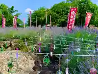 櫻岡大神宮の庭園