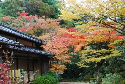 東行庵(山口県)