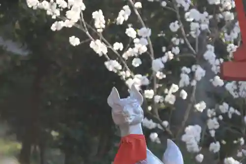 高屋敷稲荷神社の狛犬