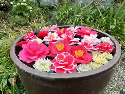 円照寺(兵庫県)