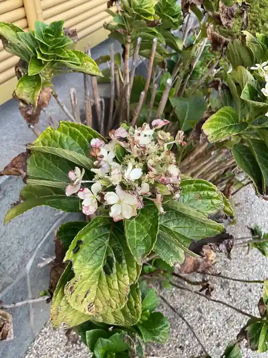 専修院(愛知県)