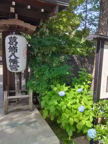 葛飾八幡宮(千葉県)