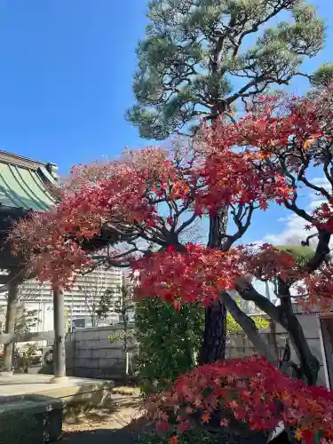 本立寺(神奈川県)