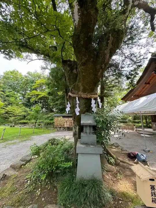 武田神社(山梨県)