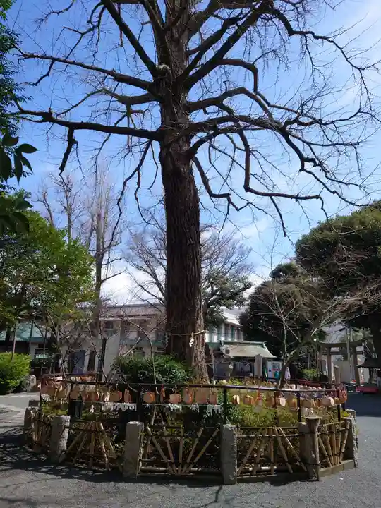 七社神社の自然