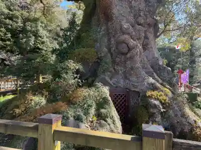 蒲生八幡神社の{uncategorized: "未分類", other: "その他", undefined: "問題あり", building: "その他建物", grave: "お墓", sacred_gate: "鳥居", guardian: "狛犬", statue: "像", buddha: "仏像", history: "歴史", nature: "自然", garden: "庭園", animal: "動物", pagoda: "塔", temizu: "手水舎", mountain_gate: "山門・神門", sanctuary: "本殿・本堂", subordinate: "末社・摂社", art: "芸術", scenery: "景色", jizo: "地蔵", ema: "絵馬", goshuin: "御朱印", omikuji: "おみくじ", items: "授与品その他", amulet: "お守り", goshuincho: "御朱印帳", eats: "食事", festival: "お祭り", votive_dance: "神楽", shichigosan: "七五三参", wedding: "結婚式", experience: "体験その他", initially: "初詣", around: "周辺", anti_infection: "感染症対策"}