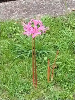 横浜　西方寺(神奈川県)