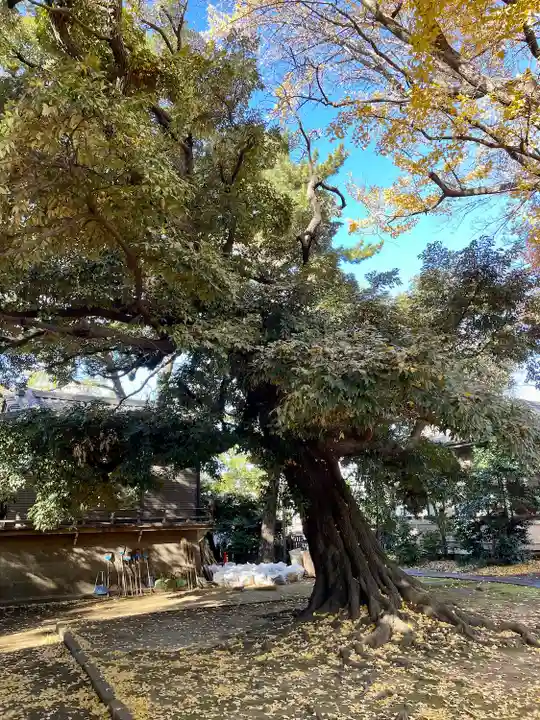 長崎神社(東京都)