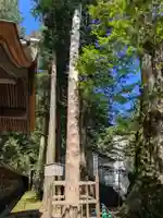 諏訪大社(長野県)