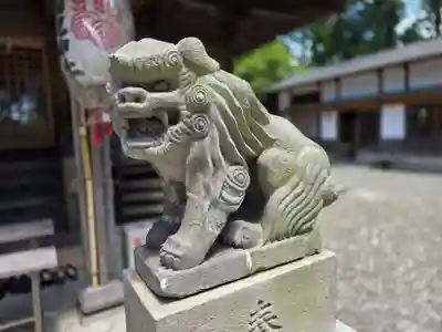 大國魂神社の狛犬